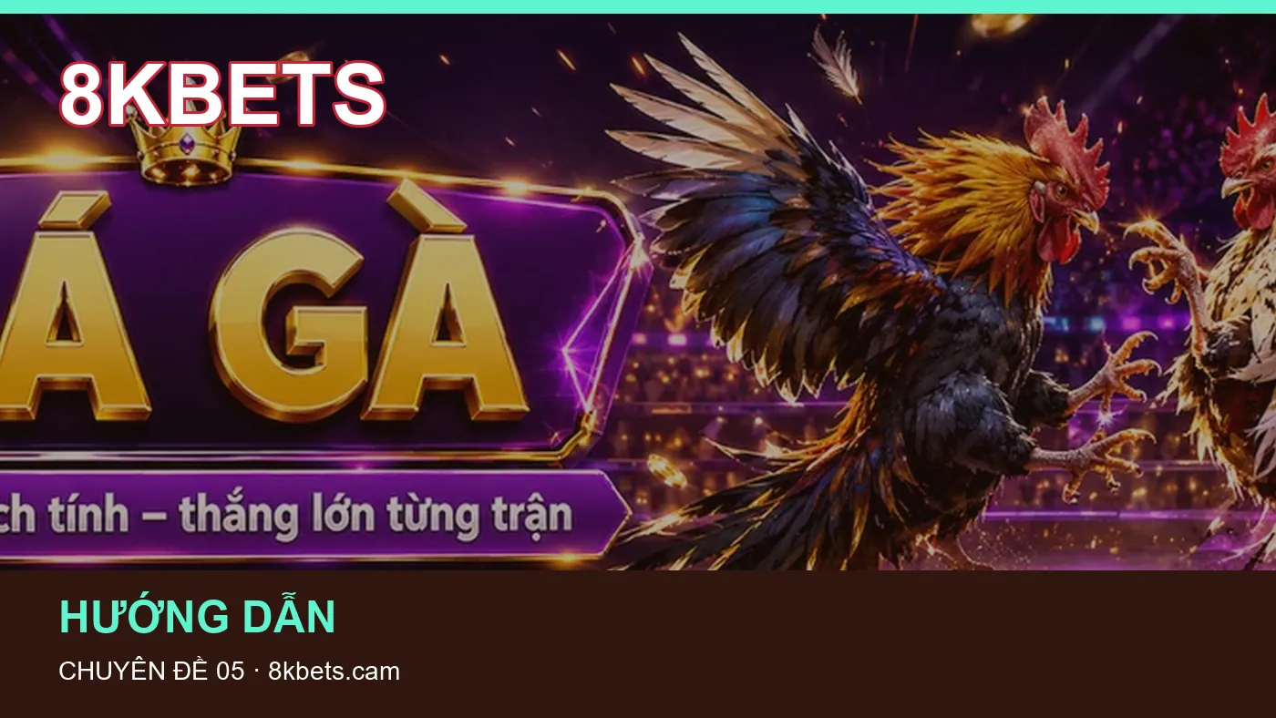 Trải nghiệm Tải app trên điện thoại cùng cẩm nang 8KBETS